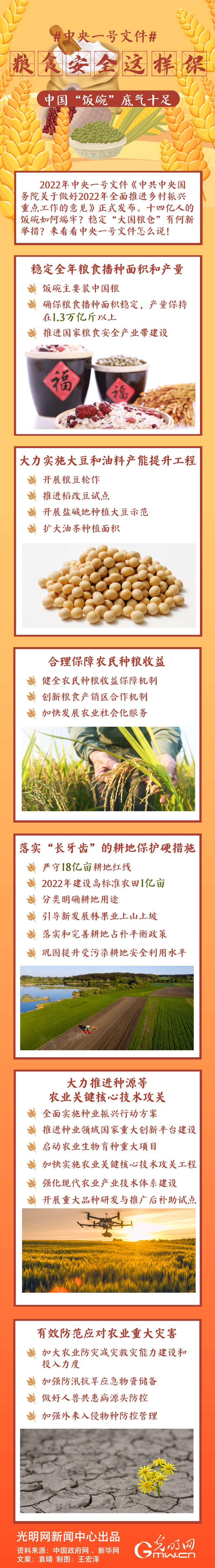 中央一號文件｜糧食安全這樣保，中國“飯碗”底氣十足