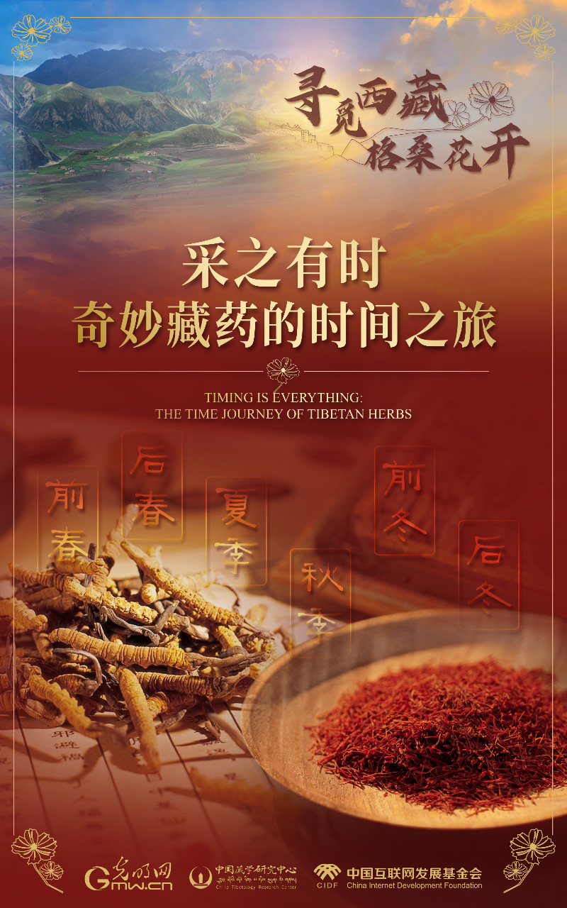 【尋覓西藏·格?；ㄩ_】采之有時：奇妙藏藥的時間之旅