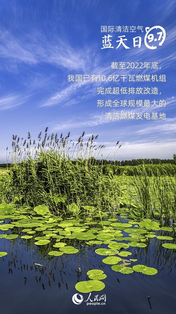 資料來源：生態(tài)環(huán)境部、人民日報