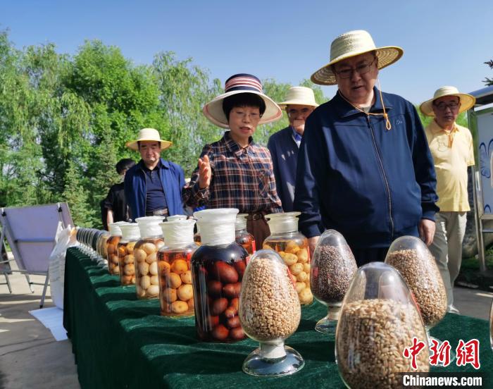 青海：利用冷涼氣候，打造高原綠色種業(yè)輸出地