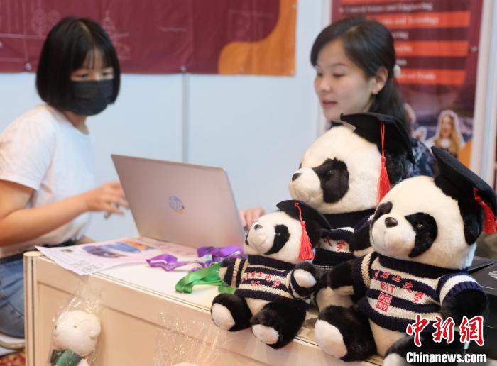 北京理工大學(xué)帶來可愛熊貓玩偶，頗為吸睛 陳悅 攝