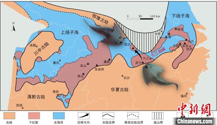 華南地區(qū)志留紀(jì)早期古地理圖和盔甲魚類化石產(chǎn)地(山顯任改自陳旭、戎嘉余，1996；戎嘉余等，2012) 中科院古脊椎所 供圖