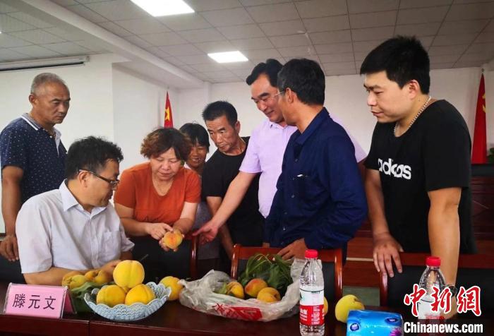 民進(jìn)浙江省委會為三里橋黃桃種植戶送技術(shù)、送指導(dǎo)?！〖紊平y(tǒng)戰(zhàn) 供圖