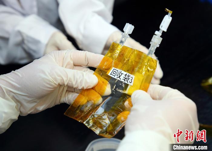隨神舟十五號(hào)返回地面的空間科學(xué)實(shí)驗(yàn)樣品?！≈锌圃嚎臻g應(yīng)用中心 供圖