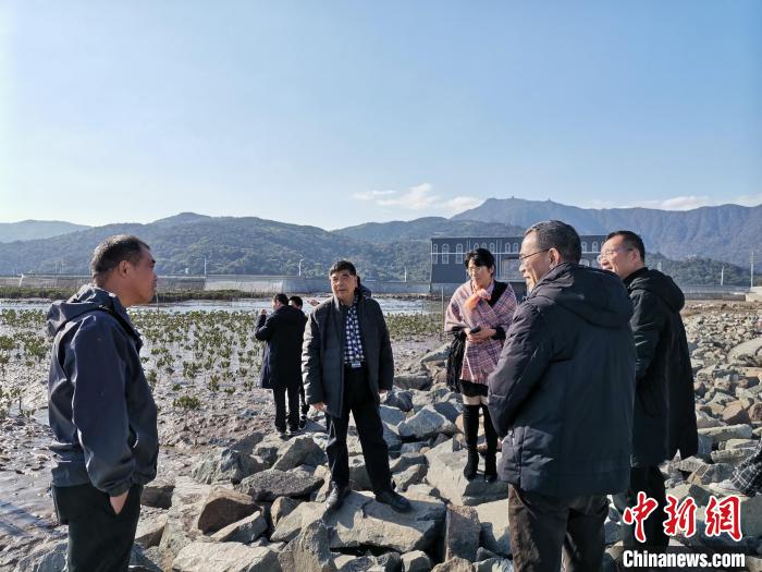 浙江海洋生態(tài)觀察：智慧大腦如何解鎖藍(lán)色發(fā)展密碼？