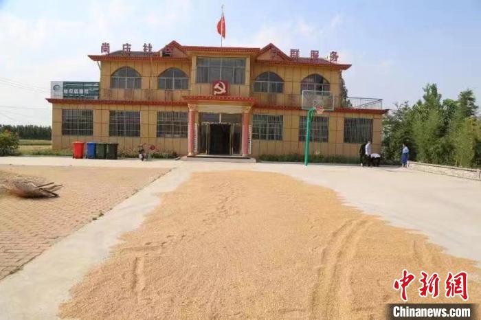 農(nóng)民在邳莊鎮(zhèn)尚莊村黨群服務(wù)中心大院里曬糧?！≠Z萌 攝