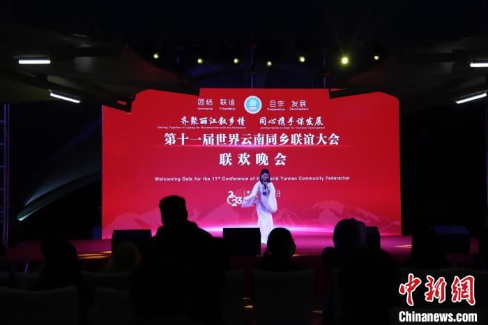 圖為第十一屆世界云南同鄉(xiāng)聯(lián)誼大會(huì)舉辦聯(lián)歡晚會(huì)?！〈抻澜?攝