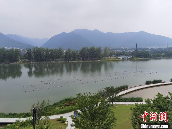 兩岸媒體共探杭州亞運(yùn)會(huì)“綠”在何處？