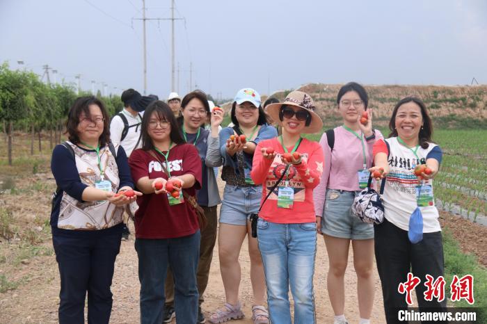 圖為臺胞體驗大美內(nèi)蒙古?！⊥袐I供圖