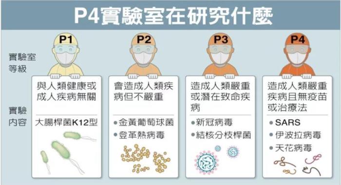 P4實驗室在研究什么。臺灣聯(lián)合新聞網(wǎng)資料圖