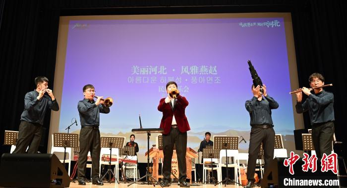 圖為音樂會現(xiàn)場?！∈谞栔袊幕行墓﹫D