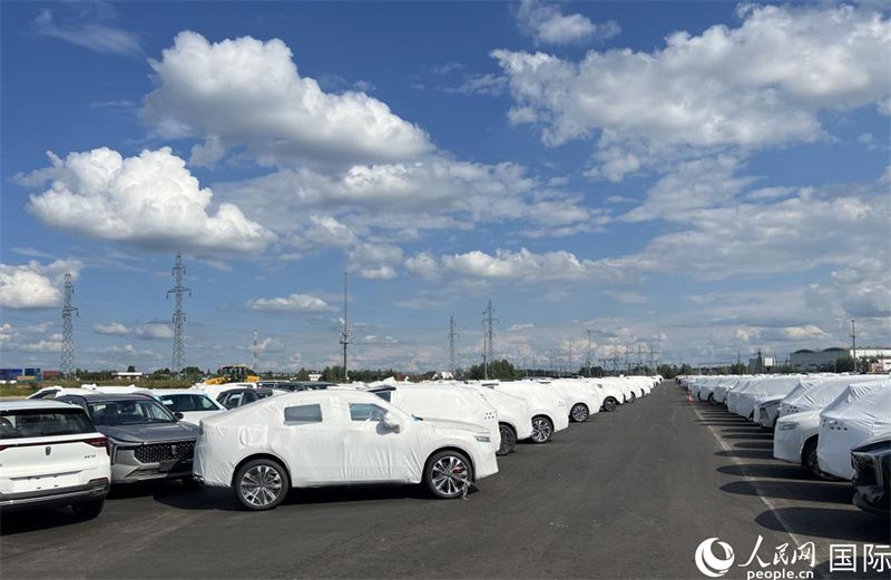 莫斯科別雷拉斯特物流中心內(nèi)的中國(guó)品牌汽車(chē)。人民網(wǎng)記者 申佳平攝