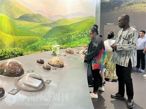   （在中國藥都中醫(yī)藥博物館，外媒記者了解中醫(yī)藥發(fā)展史。中國經(jīng)濟周刊記者 郭志強 攝）