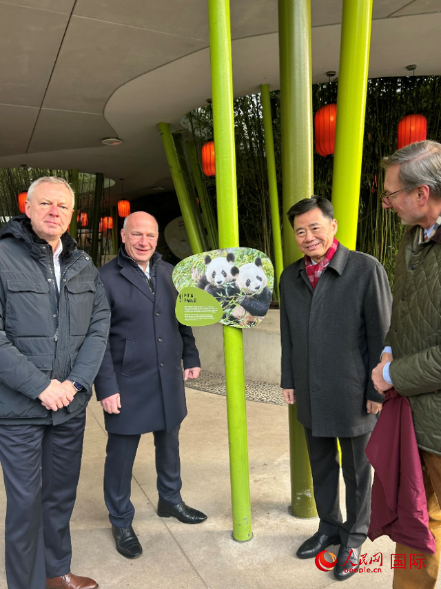 中國駐德國大使吳懇（右二）、柏林市長韋格納（左二）、動(dòng)物園園長克尼里姆（右一）和監(jiān)事會(huì)主席布魯克曼（左一）共同為“夢想”“夢圓”大熊貓紀(jì)念牌揭幕。人民網(wǎng)記者 徐馨攝