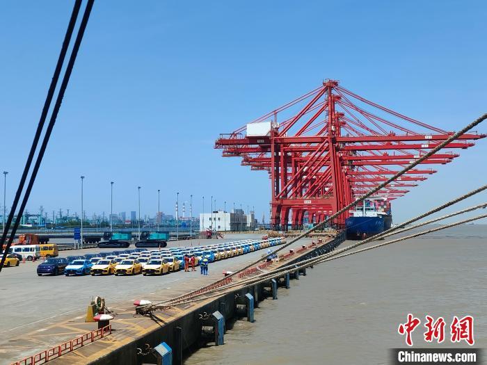 資料圖：國(guó)產(chǎn)新能源車(chē)在上海外高橋港區(qū)海通碼頭“整裝待發(fā)”?！∑址?攝