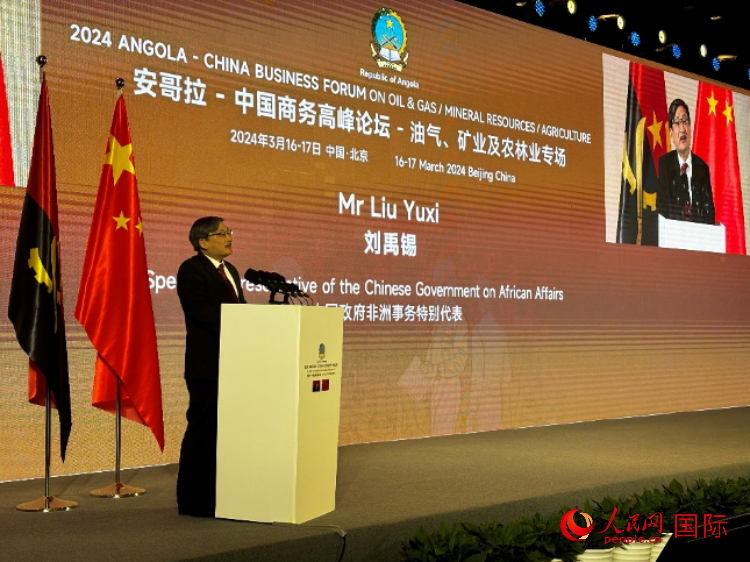 中國(guó)政府非洲事務(wù)特別代表劉禹錫。人民網(wǎng)記者 張榮攝