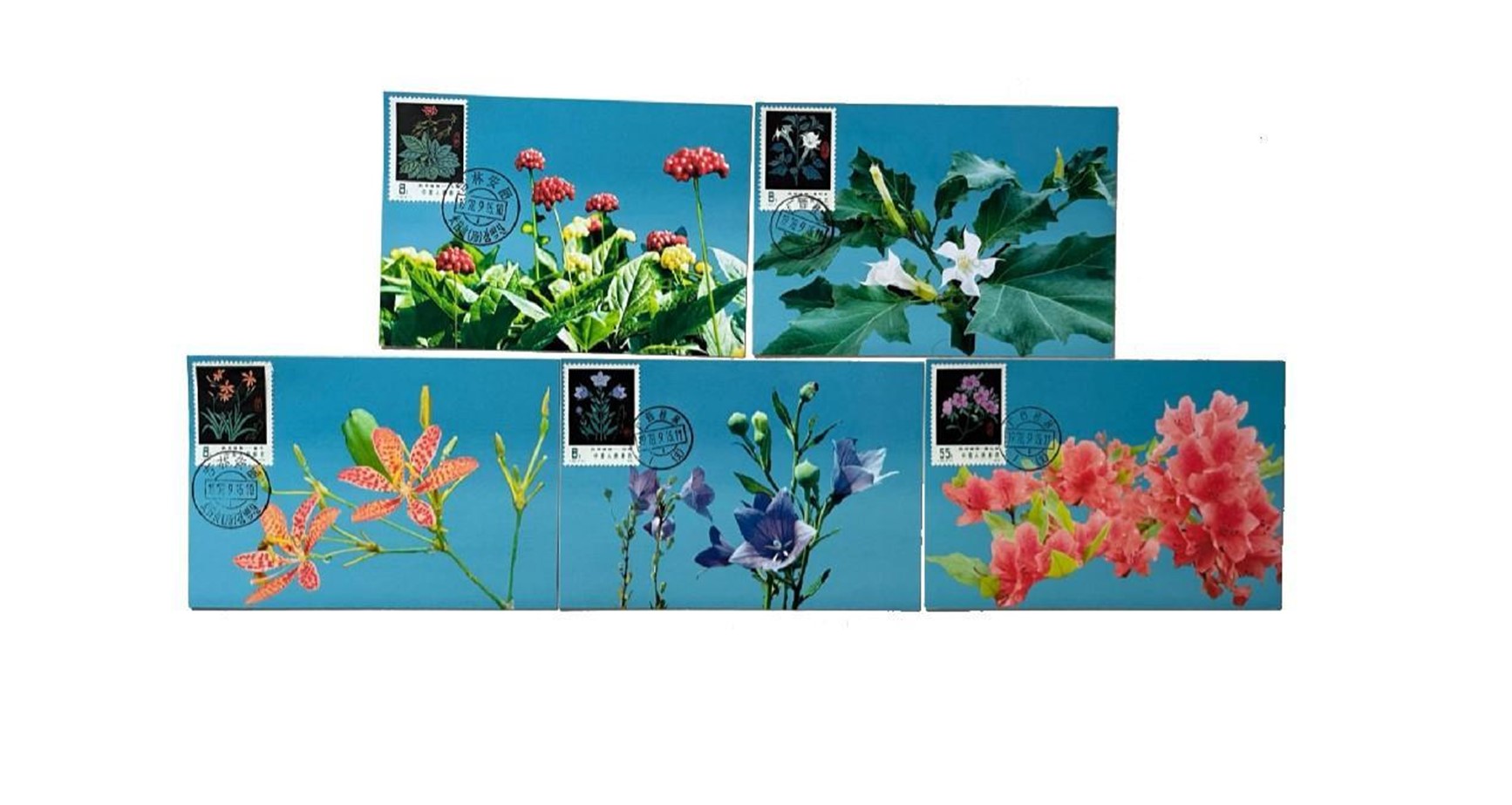 首套藥用植物極限片。第七屆阿聯(lián)酋集郵展主辦方供圖