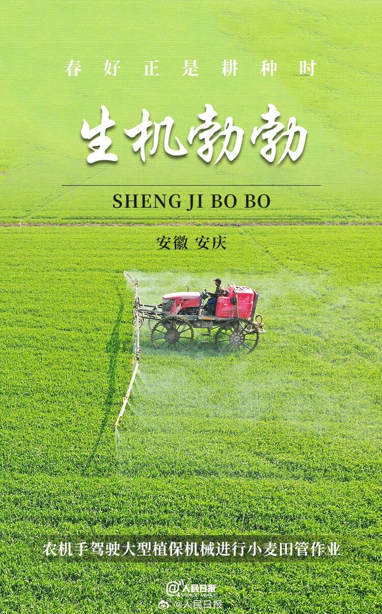生機(jī)盎然！用課本封面打開春耕畫卷