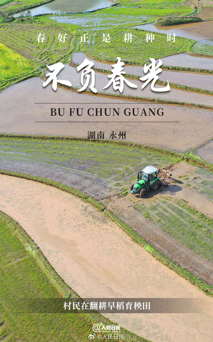 生機(jī)盎然！用課本封面打開春耕畫卷