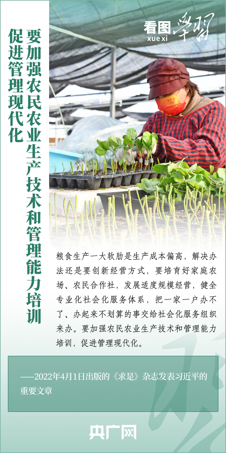 看圖學(xué)習(xí)丨推廣良田、良種、良法、良機 給農(nóng)業(yè)現(xiàn)代化插上科技的翅膀
