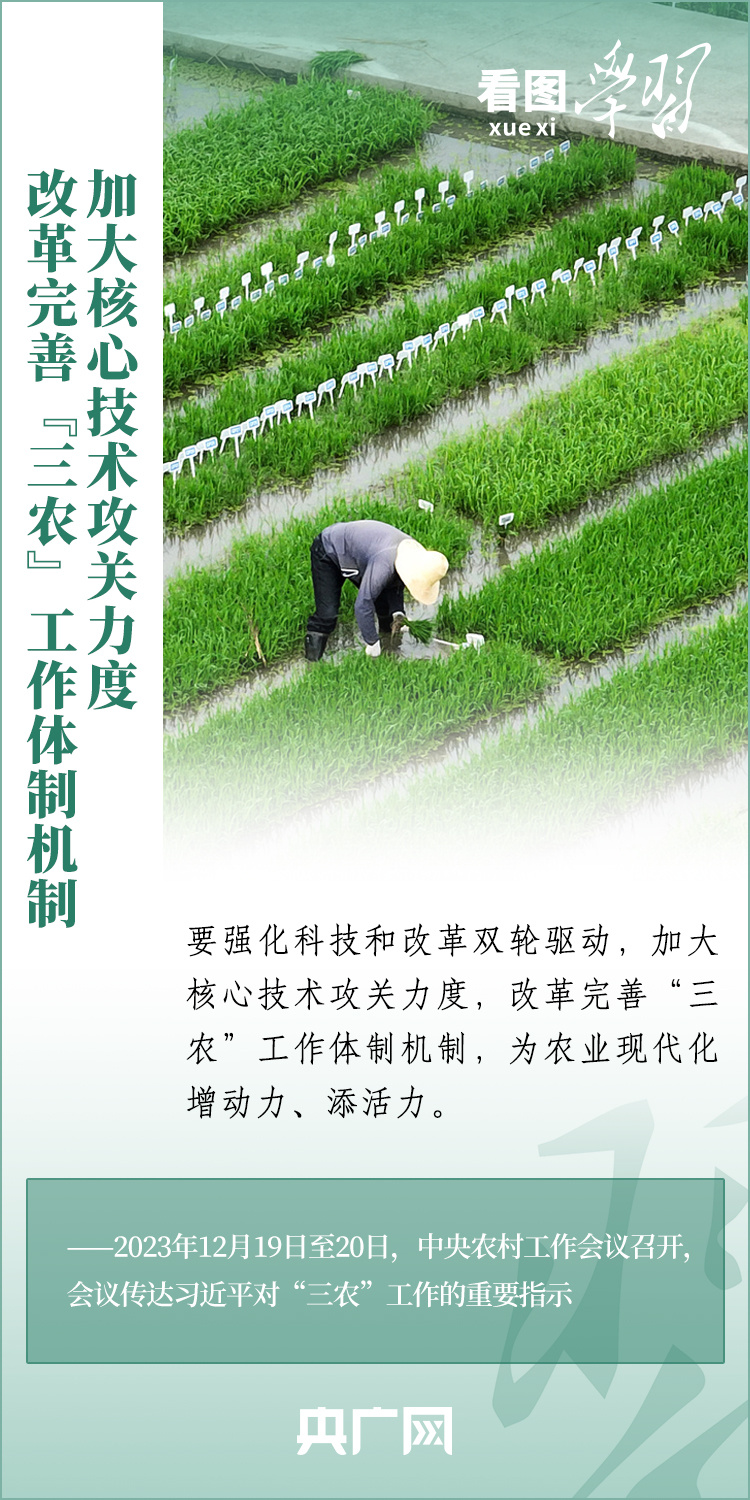 看圖學(xué)習(xí)丨推廣良田、良種、良法、良機 給農(nóng)業(yè)現(xiàn)代化插上科技的翅膀