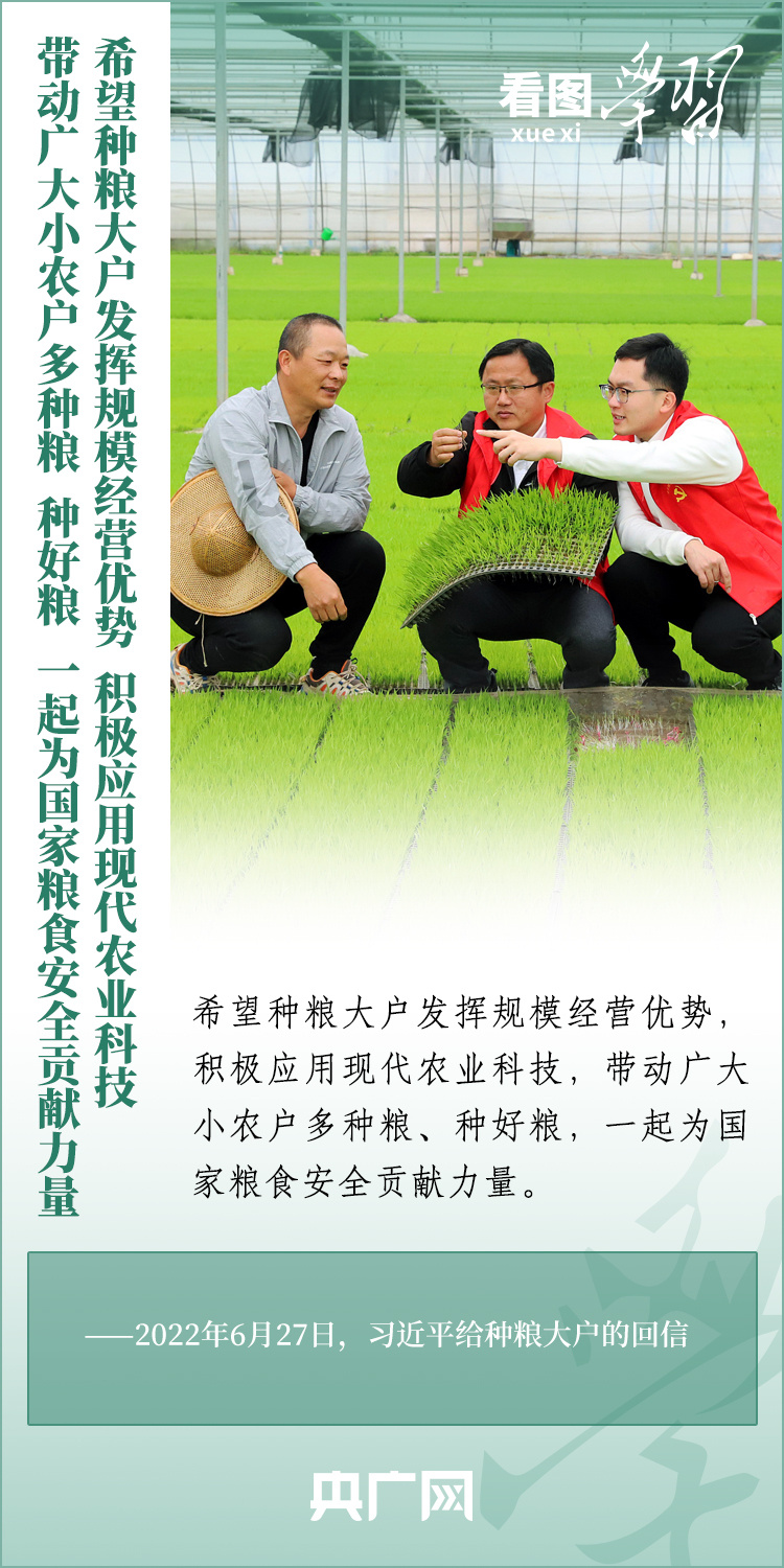 看圖學(xué)習(xí)丨推廣良田、良種、良法、良機 給農(nóng)業(yè)現(xiàn)代化插上科技的翅膀