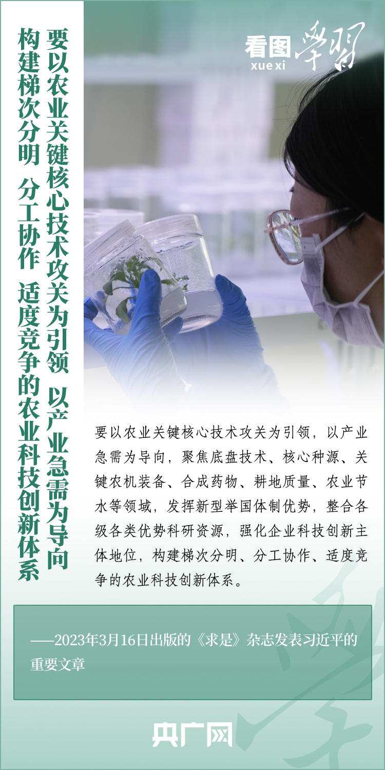 看圖學(xué)習(xí)丨推廣良田、良種、良法、良機 給農(nóng)業(yè)現(xiàn)代化插上科技的翅膀