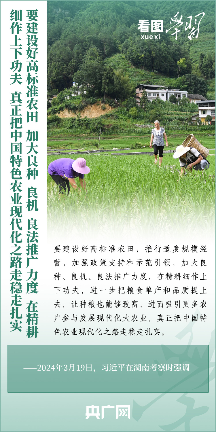 看圖學(xué)習(xí)丨推廣良田、良種、良法、良機 給農(nóng)業(yè)現(xiàn)代化插上科技的翅膀