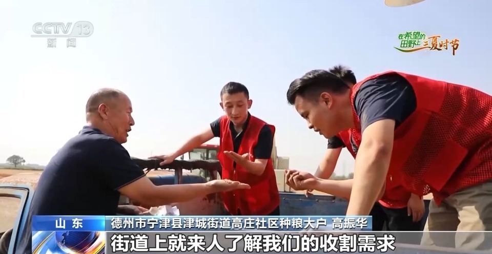 “三夏”生產(chǎn)思維導(dǎo)圖安排上了！還有政府大院等你來“曬”