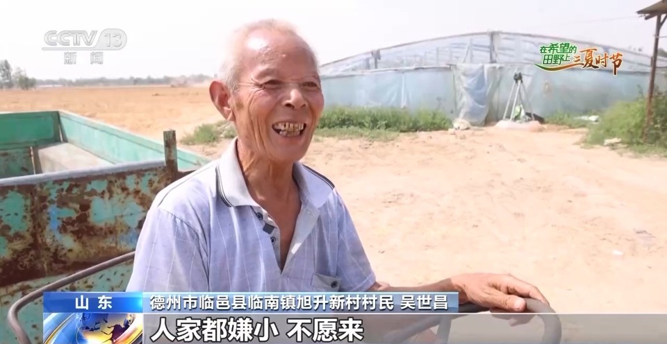 “三夏”生產(chǎn)思維導(dǎo)圖安排上了！還有政府大院等你來“曬”