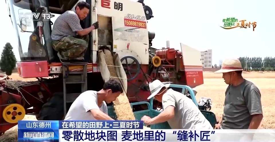 “三夏”生產(chǎn)思維導(dǎo)圖安排上了！還有政府大院等你來“曬”