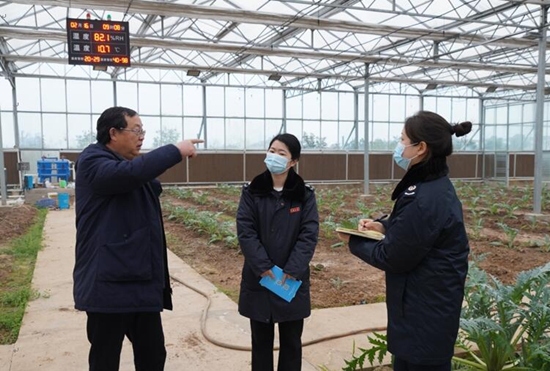 稅務干部走進常德市西洞庭管理區(qū)的朝鮮薊種植基地，宣傳稅費優(yōu)惠政策，助力農(nóng)企搶農(nóng)時、抓春耕、穩(wěn)增長。吳家豪攝