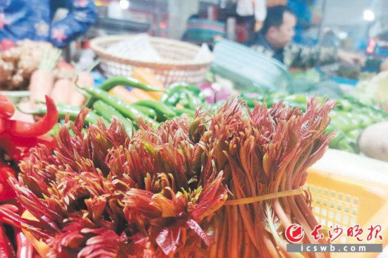 　　農(nóng)貿(mào)市場里鮮嫩的香椿?！　【鶠殚L沙晚報全媒體記者 劉捷萍 攝