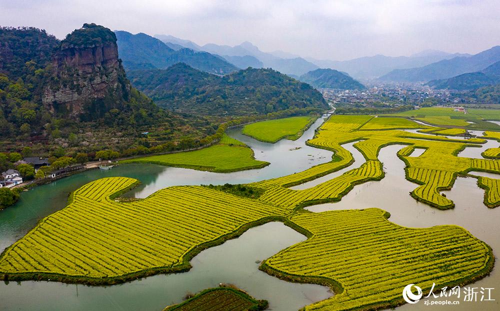 3月28日，航拍浙江省臨海市桃渚鎮(zhèn)桃江十三渚盛開的油菜花景色。人民網(wǎng) 章勇濤攝