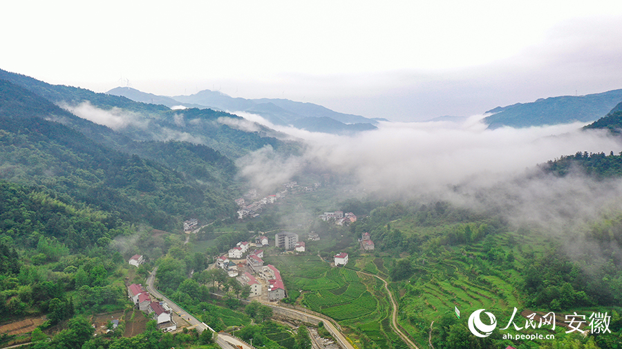 雨后的金寨大灣村，云霧環(huán)繞，宛如一幅田園山水畫卷。人民網(wǎng) 張俊攝