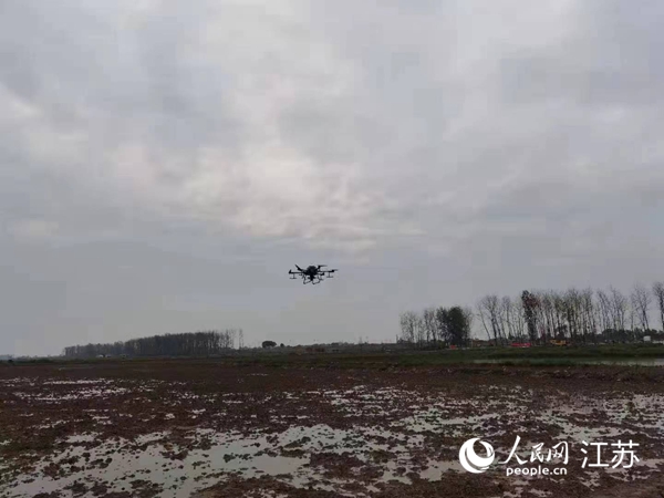 勝利圩高標(biāo)準(zhǔn)農(nóng)田進(jìn)行無人機(jī)水稻播種。陽江鎮(zhèn)供圖