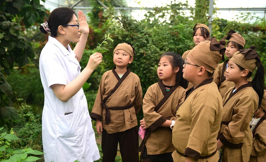 參加活動(dòng)的孩子聆聽(tīng)滄州市人民醫(yī)院國(guó)醫(yī)館中醫(yī)對(duì)中藥材的講解。 傅新春攝
