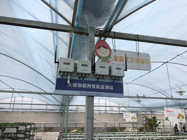 都市四季果園內(nèi)的物聯(lián)網(wǎng)智能監(jiān)測站系統(tǒng)。東海縣委宣傳部供圖