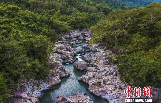 2018年海南生態(tài)環(huán)境狀況等級(jí)為“優(yōu)”，植被覆蓋率高，生物多樣性豐富，生態(tài)系統(tǒng)穩(wěn)定，圖為海南中部熱帶雨林?！●樤骑w　攝