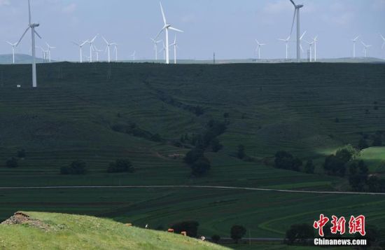 6月28日，河北張家口張北草原上大片風(fēng)力發(fā)電的“風(fēng)車”規(guī)模宏大。 中新社記者 楊艷敏 攝