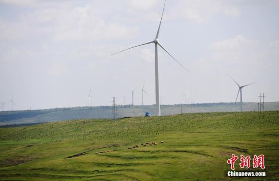 6月28日，河北張家口張北草原上大片風(fēng)力發(fā)電的“風(fēng)車”規(guī)模宏大。 中新社記者 楊艷敏 攝