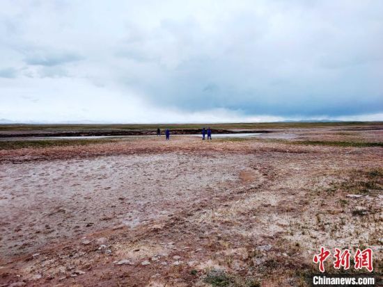 圖為救援力量在青海省西部搜救失聯(lián)的江蘇南京某大學(xué)女生黃某某。海西州藍(lán)天應(yīng)急救援中心 供圖