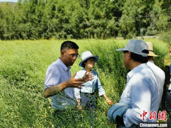 圖為九三學(xué)社青海省委主委杜德志(左一)在基層調(diào)研。受訪者供圖