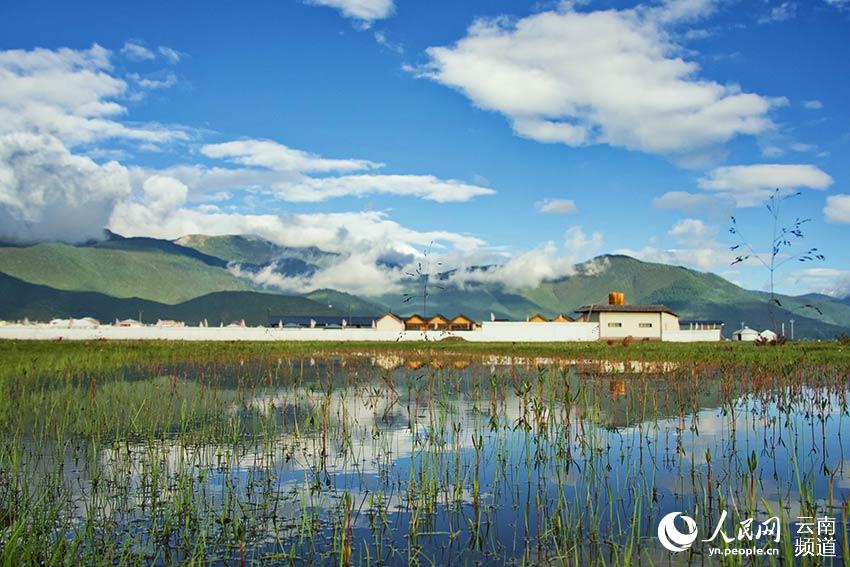 納帕海濕地風(fēng)景。呂昊辰攝