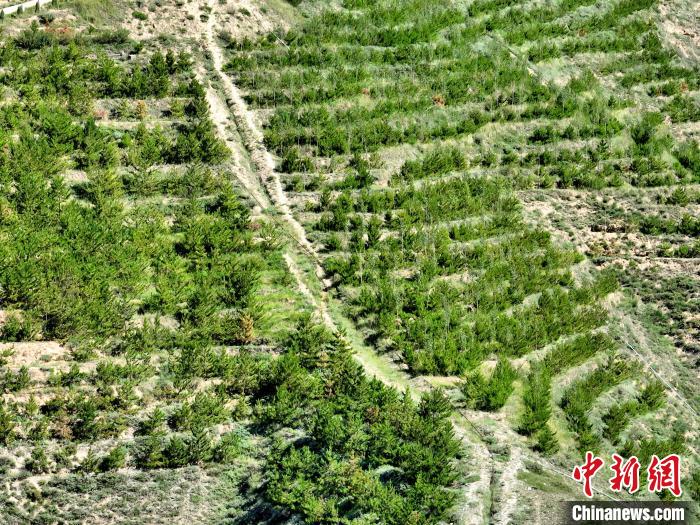 航拍建行青海省分行綠化區(qū)?！∑钤鲚?攝