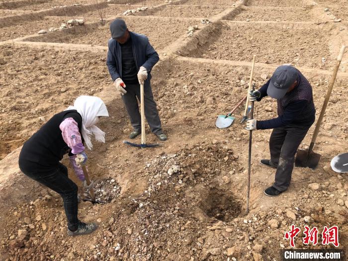 資料圖為建行青海省分行綠化區(qū)施工隊(duì)隊(duì)員處理亂石?！〗ㄐ星嗪Ｊ》中泄﹫D