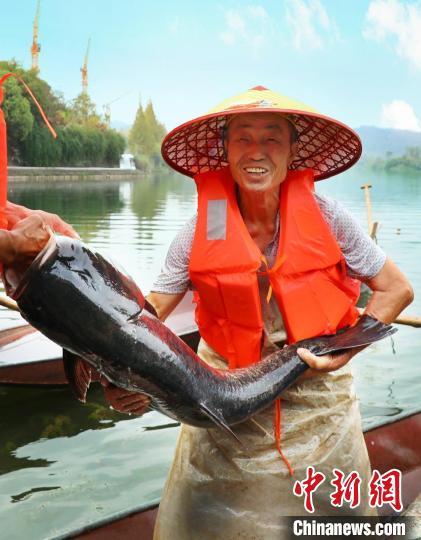 工作人員展示捕撈成果?！≈鬓k方供圖