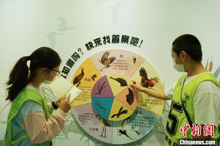 圖為小朋友在青海西寧湟水國家濕地公園科普館內(nèi)參觀學(xué)習(xí)。　馬銘言 攝