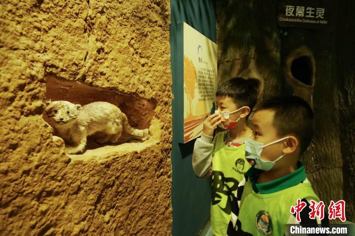 圖為小朋友在青海西寧湟水國家濕地公園科普館內(nèi)參觀學(xué)習(xí)。　馬銘言 攝