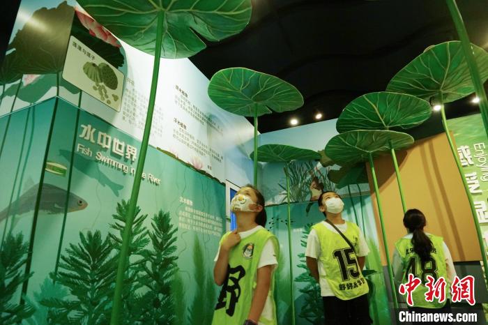 圖為小朋友在青海西寧湟水國家濕地公園科普館內(nèi)參觀學(xué)習(xí)?！●R銘言 攝